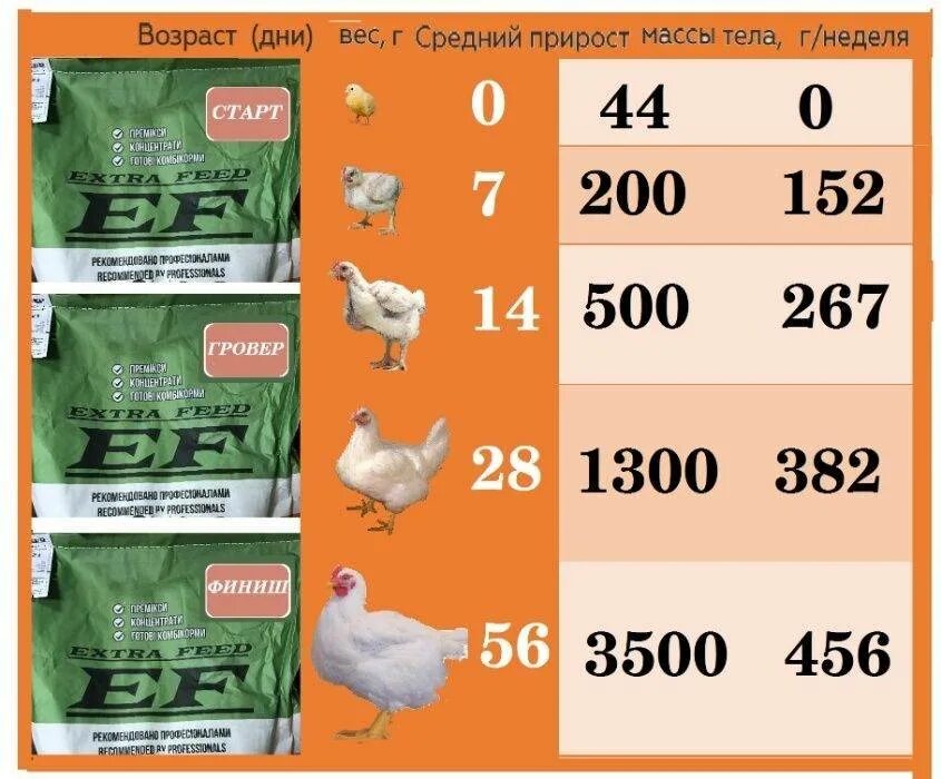 Бройлеры Росс 308 таблица веса. Таблица корма для бройлеров Росс 308. Таблица массы бройлеров Росс 308. Таблица веса бройлеров Кобб 308. Бройлер 500 характеристики