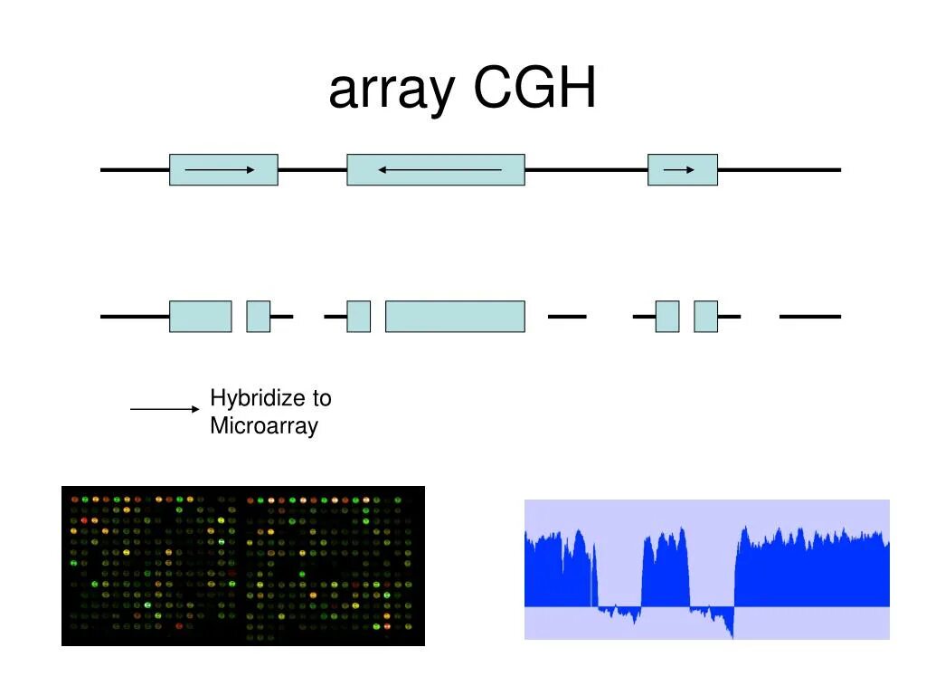 Array move. Cgh метод. сравнительная геномная гибридизация на микроматрицах array-cgh. array. cgh.
