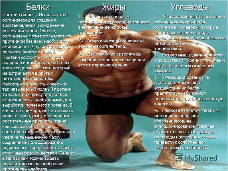 Белок влияет на рост. Белок влияет на рост. Недостаток белков в организме. Избыток и недостаток белков. Белок влияет на рост.