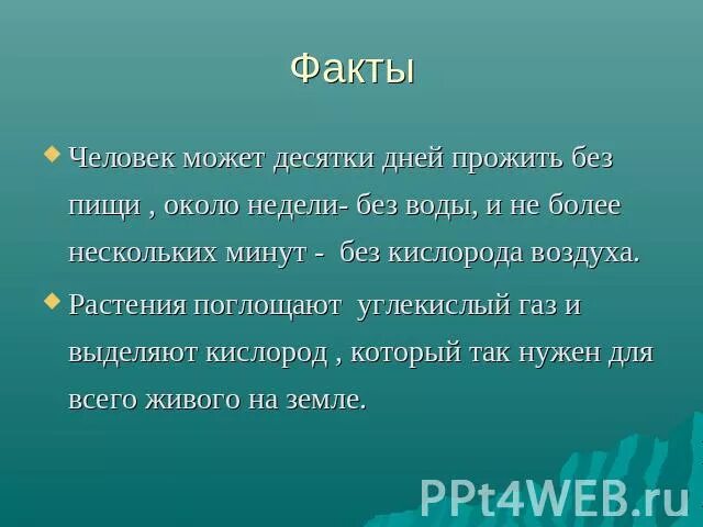 Без растений не могут жить. Мир с точки зрения эколога. Точка зрения эколого окружающий мир. Почему человек не может жить без кислорода. Почему человек не может жить без пищи.