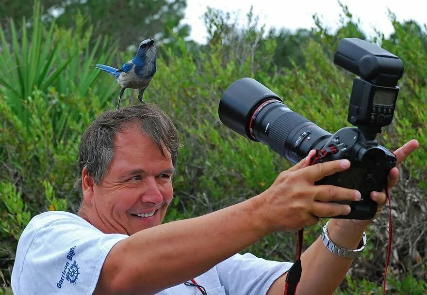 Фотограф-натуралист Adam Jones. Фотографирование птиц. Фотоаппарат для съемки птиц. Фотографы дикой природы