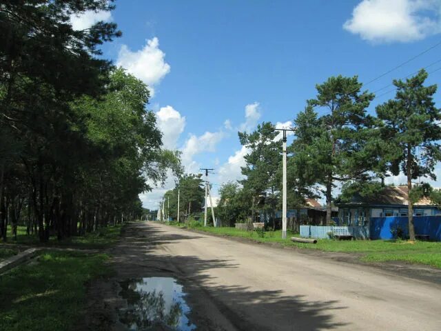 Поляна Серышевский район Амурская область. Ивановка Амурская область. Село Ивановка Амурская область. Село Лиманное Амурская область Серышевский район.