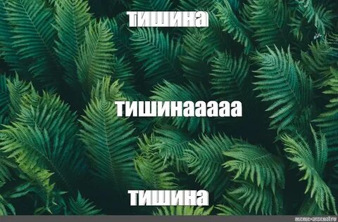 Сделай тишину 5