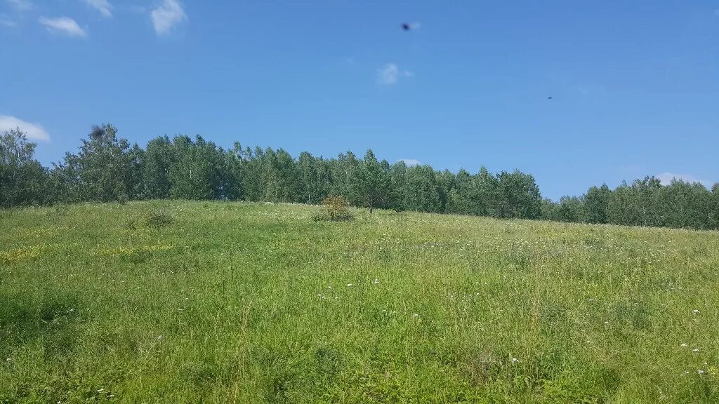 Поселок октябрьский новосибирская область мошковский. Мошковский район Новосибирская. Пос Октябрьский Новосибирская область Мошковский район. Кайлы Новосибирская область Мошковский район. Поселок Кайлы Мошковского района Новосибирской области.