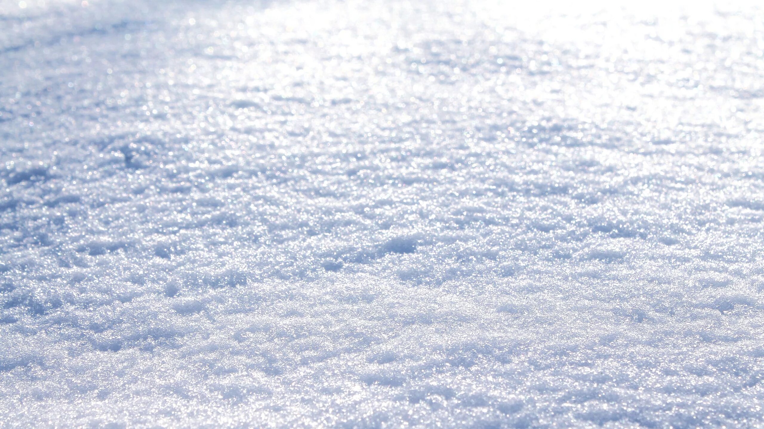 Снегов кодекс агента 2. Снегов кодекс агента 2. Снегов кодекс агента 2. Семейный кодекс российской федерации. Снегов кодекс агента 2.