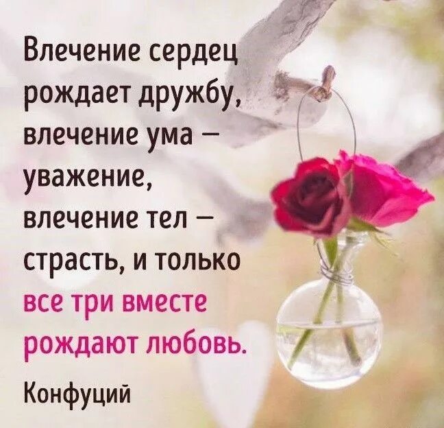 Афоризмы про влечение. Влечение душ превращается в дружбу. Влечение души порождает дружбу влечение ума порождает. Влечение душ превращается в дружбу. Влечение разума.
