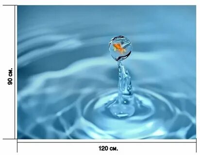 Вода и жизнь