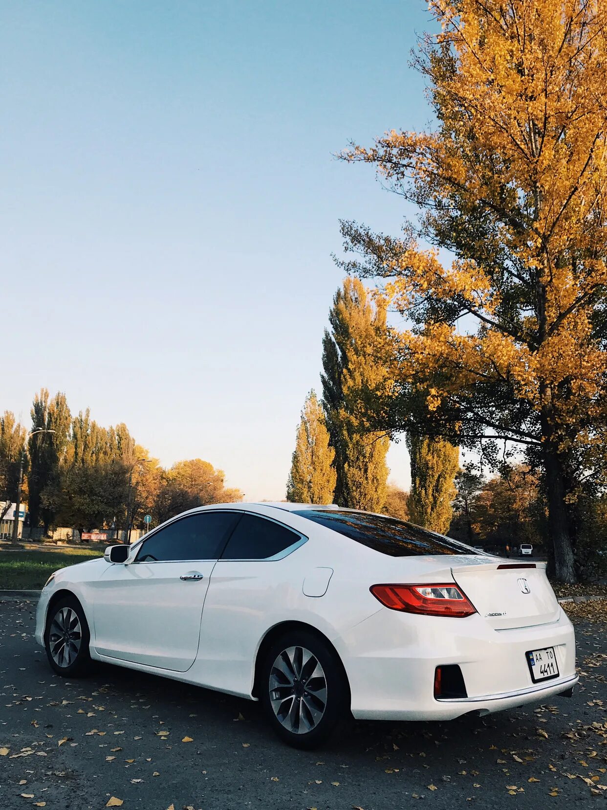 Тонировка хонда. Honda Accord 9 Coupe. Белая тонированная Хонда. Зеркальная тонировка Хонда Аккорд 9. Белая тонированная Хонда спорткар.