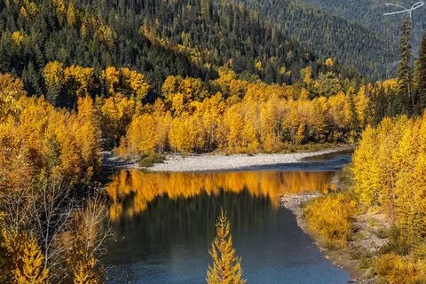 Какое будет лето в западной сибири