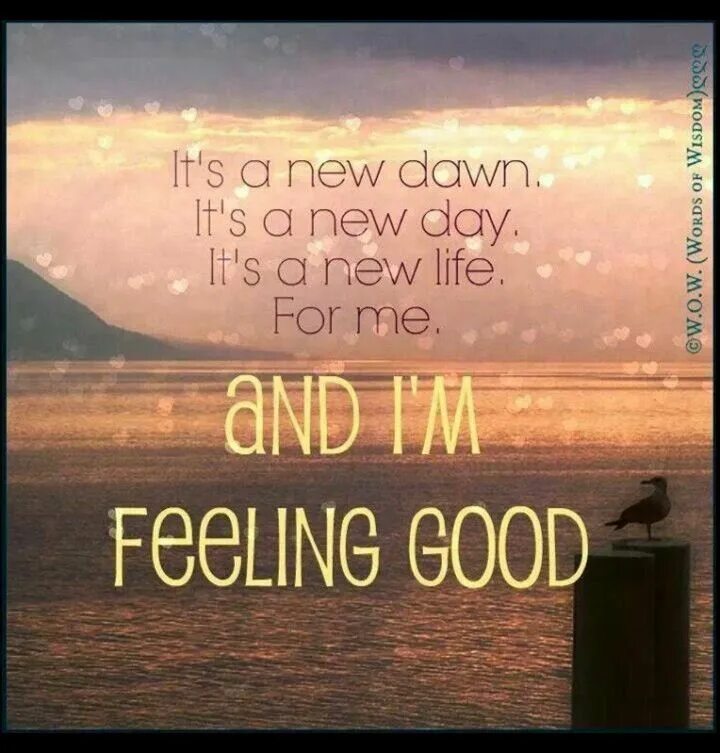 New Day New Life. Its a New Day its a New Life. New Day New Life feeling good. It's a New Dawn it's a New Day. New life have you