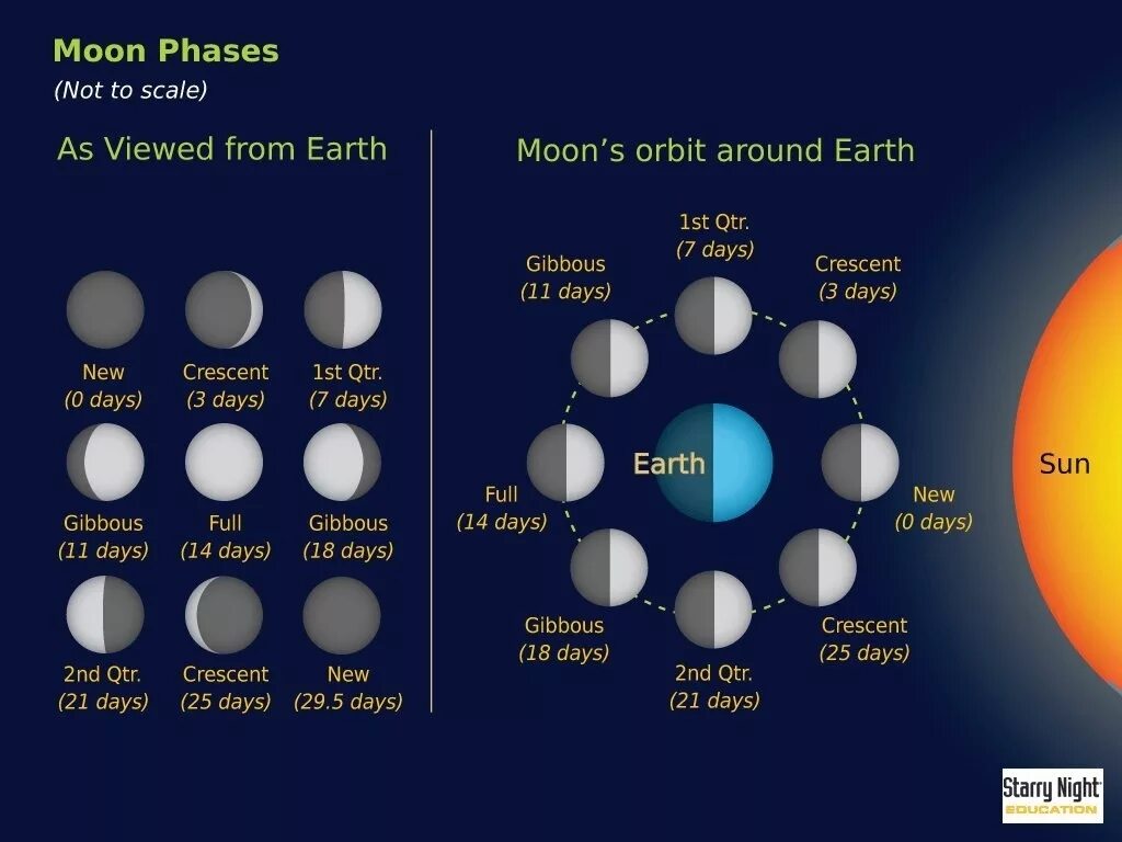 Moon correct moon. Moon phases. Lunar phases. Фазы Луны на английском. Лунные фазы на английском.