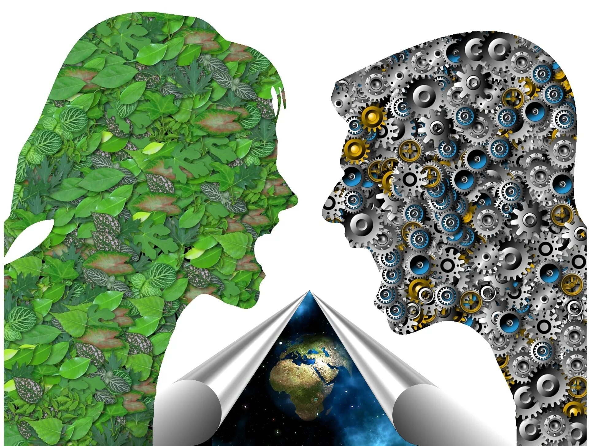 Environmental progress