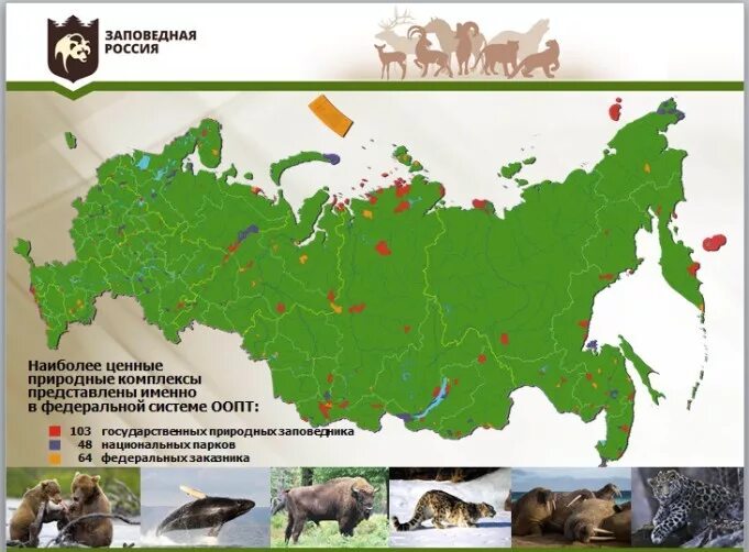 Крупнейшие заповедники россии на карте. Заповедники и национальные парки России карта. Карта России заповедники и национальные парки 2023. Заповедники национальные парки заказники России на карте. Крупнейшие заповедники и национальные парки России на карте.