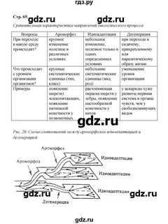 Биология 9 бодрова