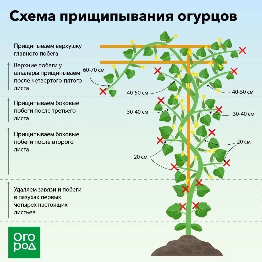 Формирование листа