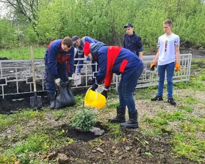 Садят деревья Новокузнецкий район. Елань Новокузнецкий район. Поселок Елань Новокузнецкий район. Еланская администрация Новокузнецкого района.