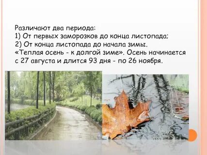 Был осенний серенький день в конце листопада