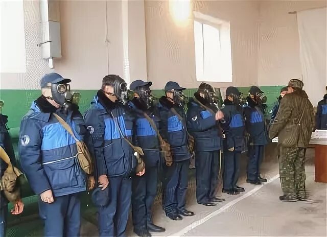 Группа зс го ог 1 2 нет. Группа зс го ог 1 2 нет