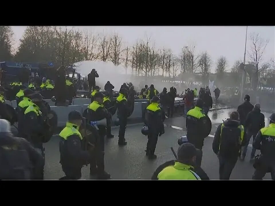 Милиция против полиции. Полиция Нидерландов. Мужа экс главы новой голландии задержали