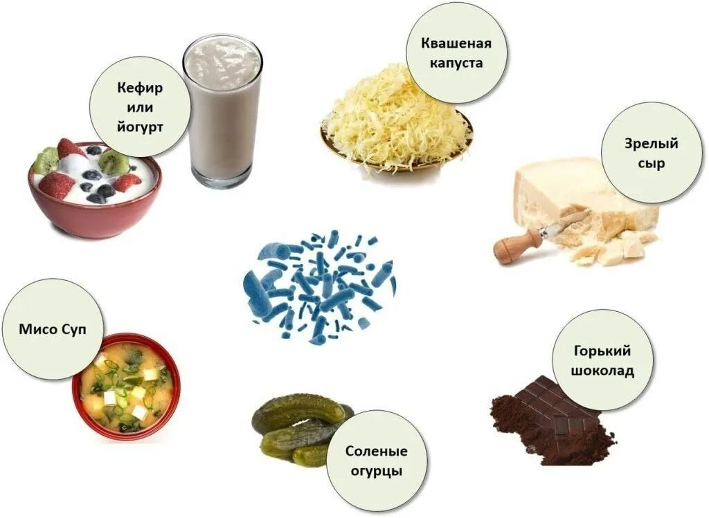 Что можно найти полезные. Продукты содержащие пробиотики и пребиотики для кишечника. Натуральные пробиотики для кишечника в продуктах питания. Продукты с полезными бактериями. Полезные бактерии в еде.