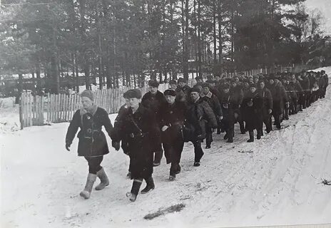 Ленинградский впервые