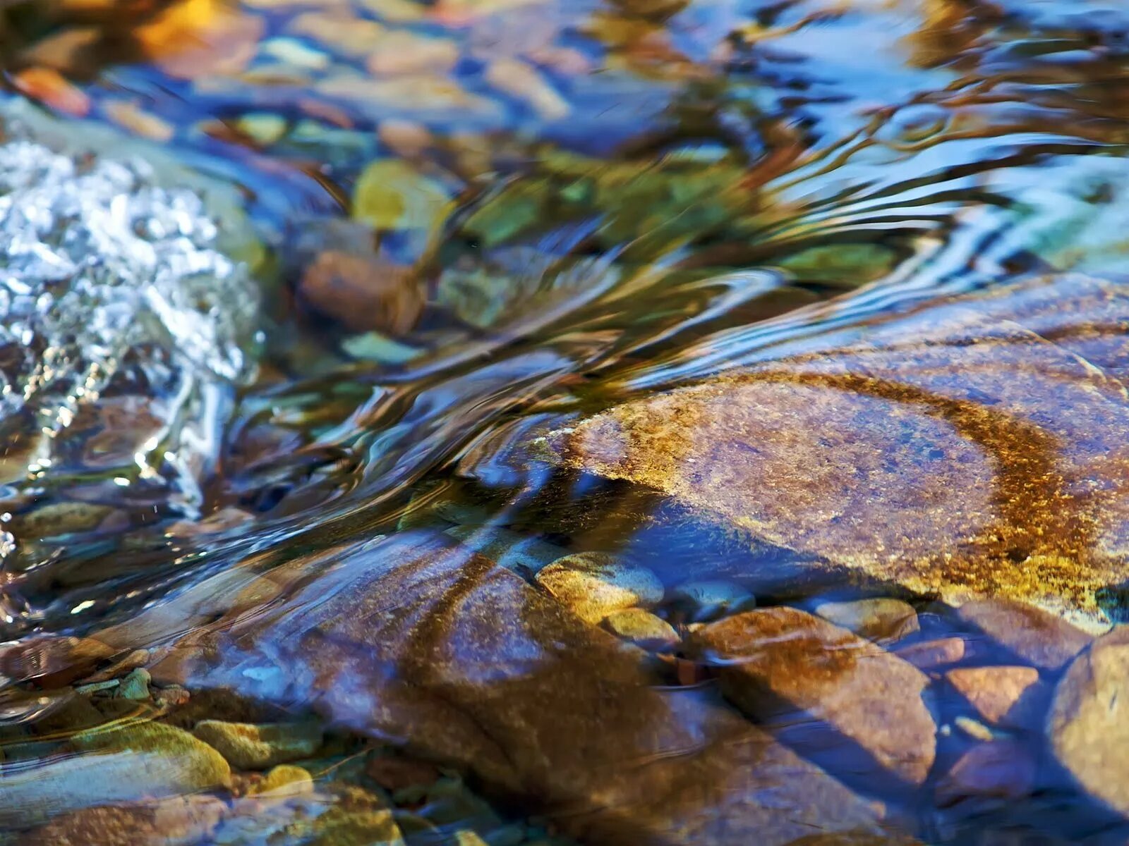 Прозрачная вода в ручье. Вода река. Камни в прозрачной воде. Чистая вода в реке.