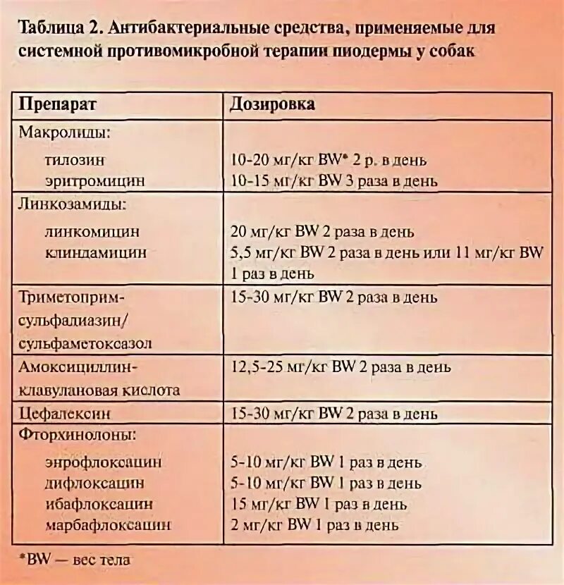 Какие антибиотики для собак. Дозировка антибиотиков для собак. Таблица антибиотиков для собак. Дозировка антибиотиков для кошек.