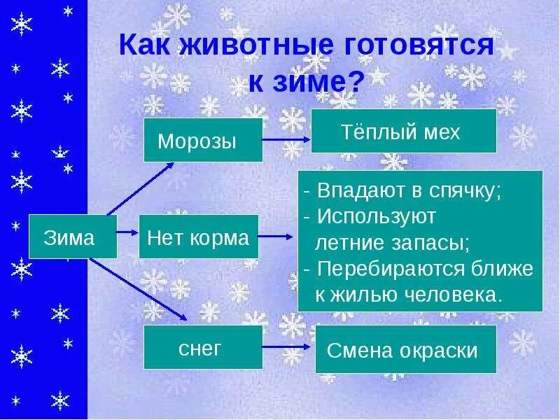 Презентация на тему зима. Изменения в природе зимой. Зимние изменения в природе 2 класс окружающий. Презентация на тему зимние изменения в природе.