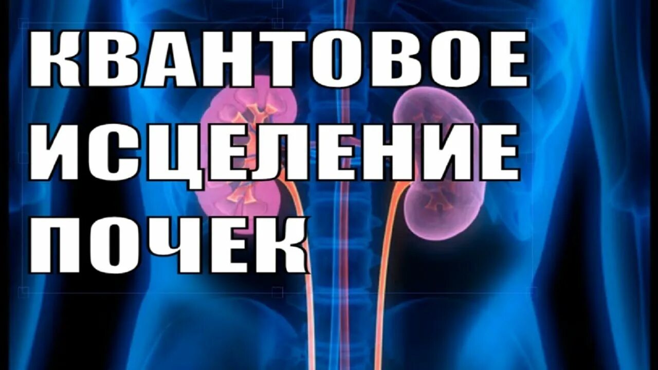 Гаряев лечение почек. Исцеление почек. квантовое исцеление почек. матрица гаряева исцеляющая почки. матрицы гаряева на исцеление почек.