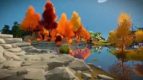 The witness