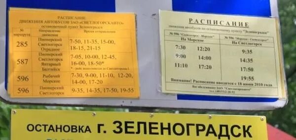 Расписание 210 зеленоградск. Автобусы Янтарный Зеленоградск расписания автобусов. Автобус Светлогорск Янтарный 587. Расписание автобусов Янтарный Зеленоградск. Автобус Зеленоградск Балтийск.