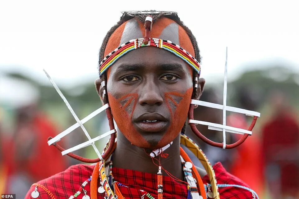 Абиссинцы эфиопы. Масаи племя. Масаи народ африки. Кенийцы внешность мужчины. Масаи самбуру.