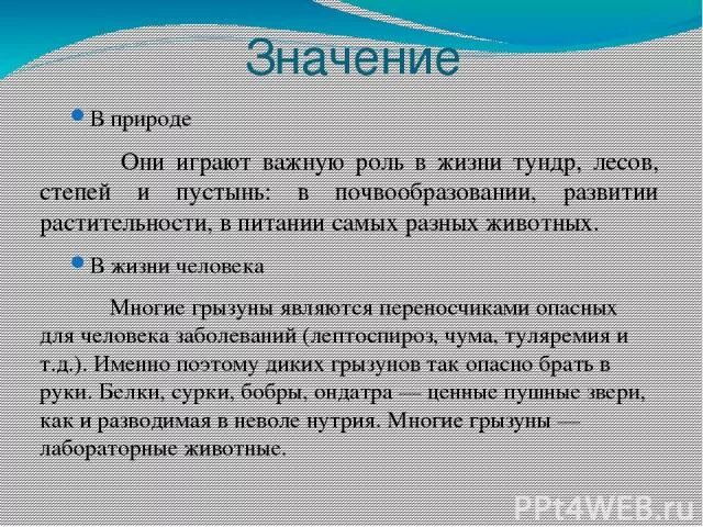 Роль грызунов в жизни человека. Роль грызунов в природе. Грызуны значение в природе. Грызуны значение в жизни человека. Значение грызунов в природе и жизни человека.