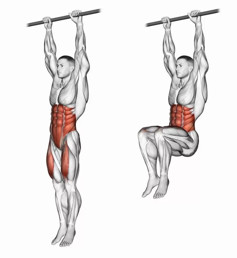 Легкие подтягивания. Подтягивания узким обратным хватом. Мышцы при подтягивании обратным хватом. Подъем ног на турнике на пресс. Подтягивания обратным хватом мышцы.
