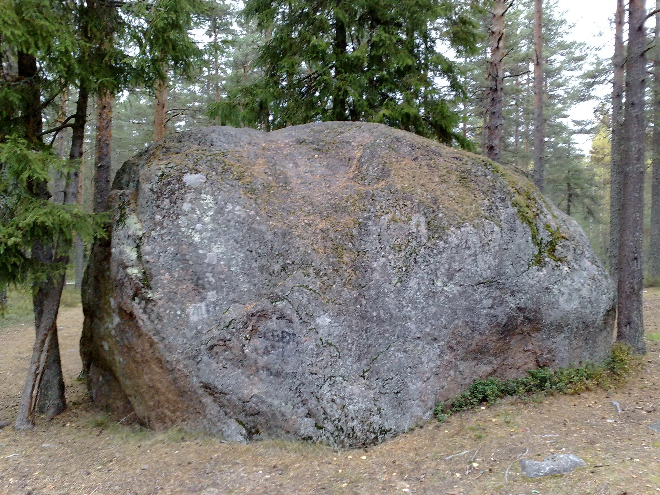 Валун «большой камень» Кутишкинский. Камень «большой шайтан». Валун «Гомсин камень». Огромный булыжник.