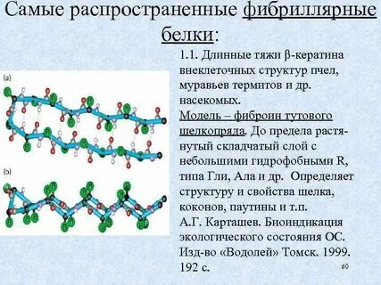 Молекулы белков относятся