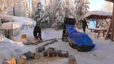 Таежные приключения новые видео