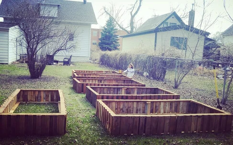 Обожженные грядки. Высокие грядки. Грядки из досок для дачи. Ограждение для грядок из досок. Высокие деревянные грядки.