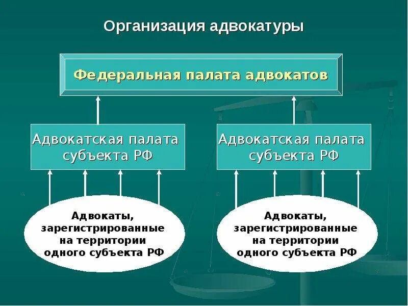 Основы организации адвокатуры. Принцип работы адвокатуры. Принципы организации адвокатуры. Основы организации адвокатуры. Основы организации адвокатуры.