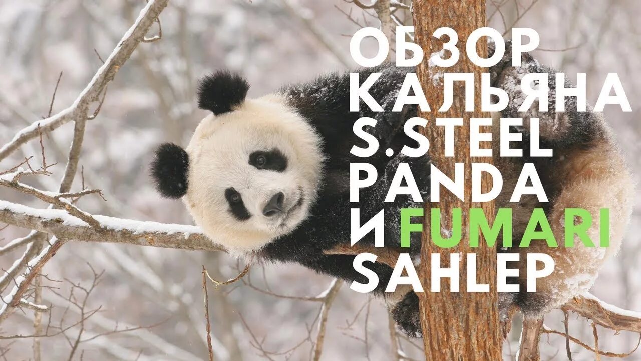 Pandas обзор