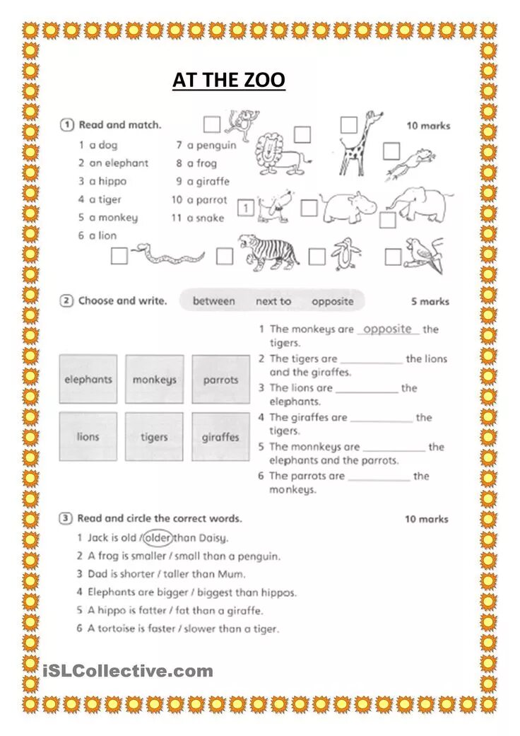 Correct words. Choose the correct word zoos play. Confusing words worksheets. Complete the sentences with the correct word. Choose the correct word zoos play.