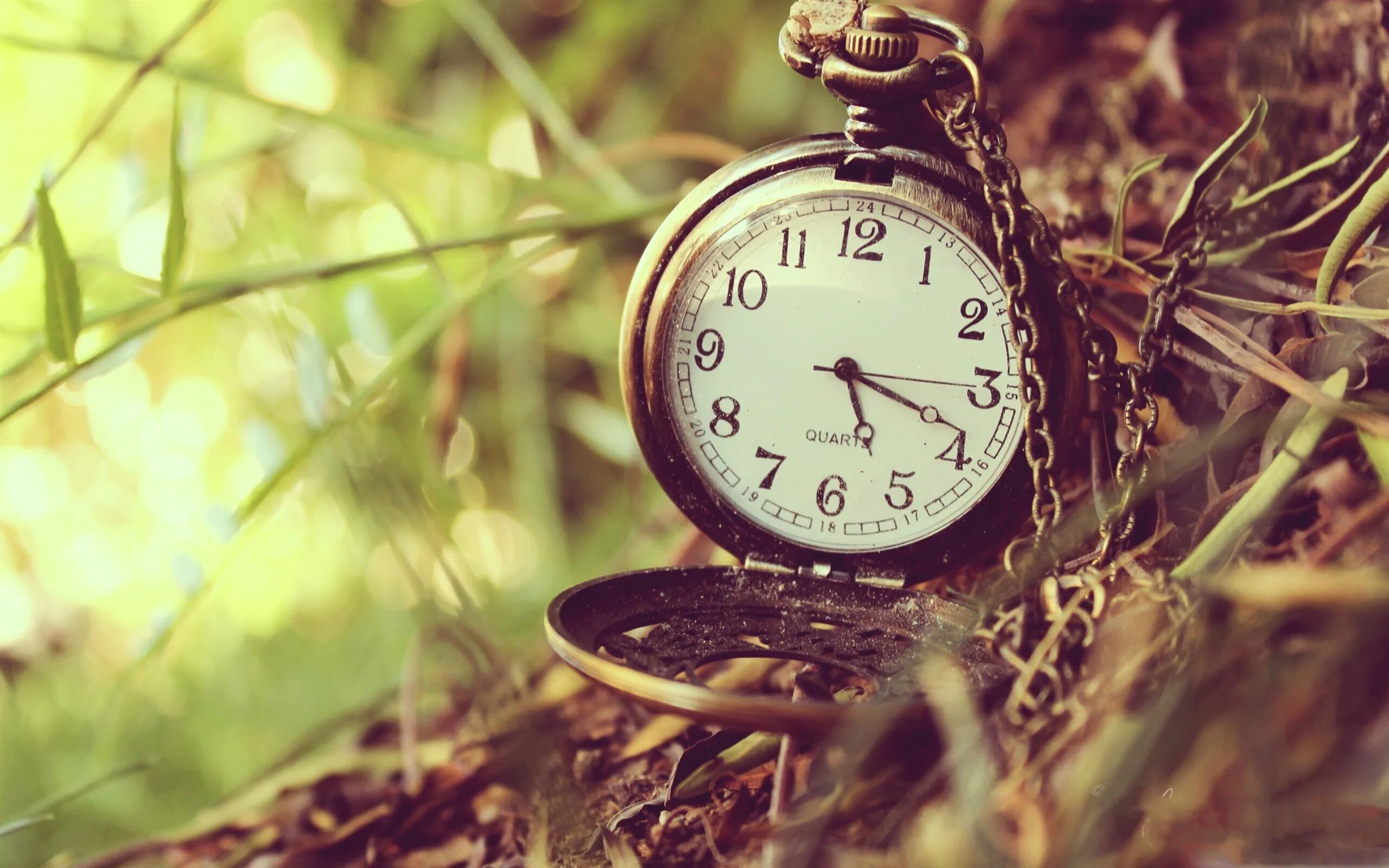 Время часы обои. Красивые часы. Часы на природе. Часы фон. Часы на фоне природы.