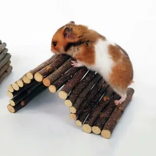 Магазин грызунов