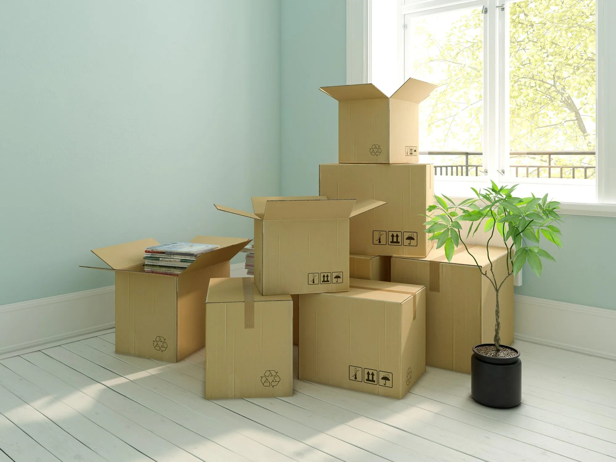 Efficient and Reliable Removal Services in Melbourne
