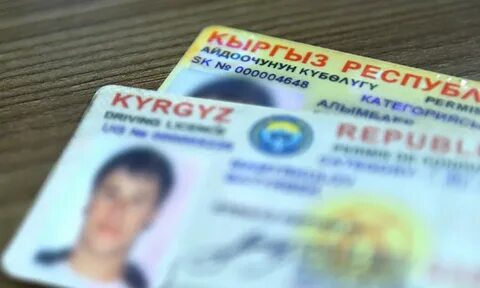 Трудоустройство граждан киргизии