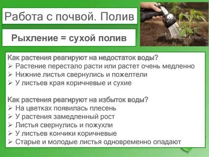 Сообщение роль рыхления для растений