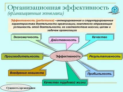Организация эффективной деятельности команды