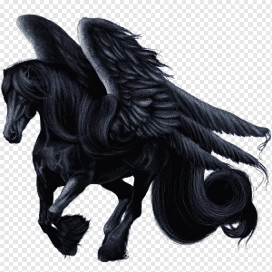 Пегас без крыльев. Лошадь с крыльями. Черный конь с крыльями. Черная лошадь с крыльями. Фризская лошадь с крыльями.