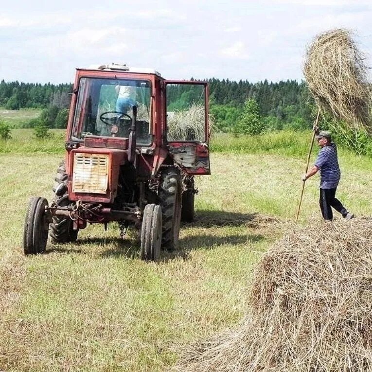 Трактор в деревне работает. Сенокос на тракторе мтз 82. трактор т 40 сенокос. т 25 на сенокосе. трактор в деревне сенокос.