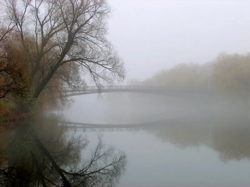 Туманы Кельн озеро. Туман фото. Серое утро. Туман низко. В тумане есть вода